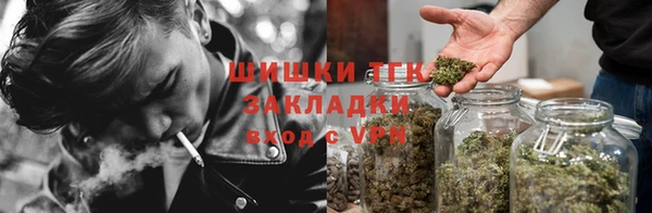 тгк Арсеньев