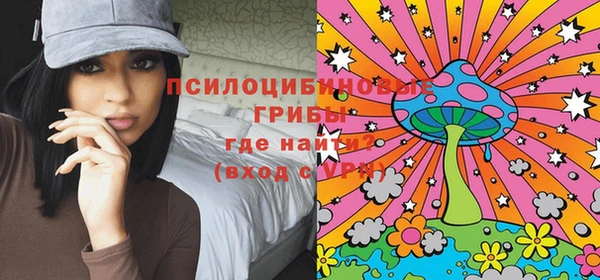 тгк Арсеньев